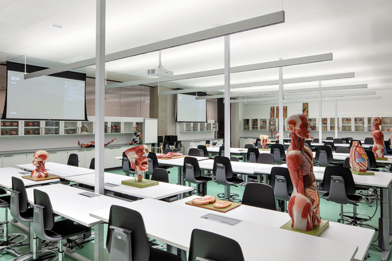 Instituto Albert Einstein